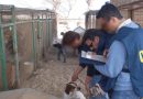 Cattive visioni: maltrattamento di animali e violenza assistita